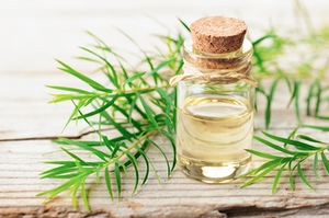 5 Benefits of Tea Tree Oil For Your Hair