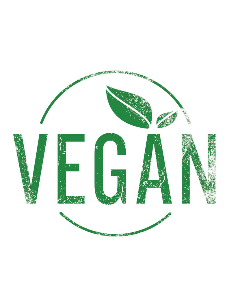 Vegan Silk Scarf (Updated Spring 2023 Design)